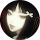 Cynthia Phan profile picture