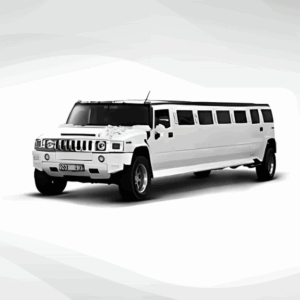 Elegant Wedding and Reliable Airport Transportation in Orange County